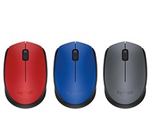 Wireless Mouse M171 
