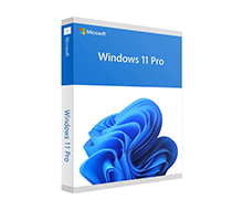 Windows 11 Pro 64-bit All Language PK Lic Online DwnLd NR FQC-10572